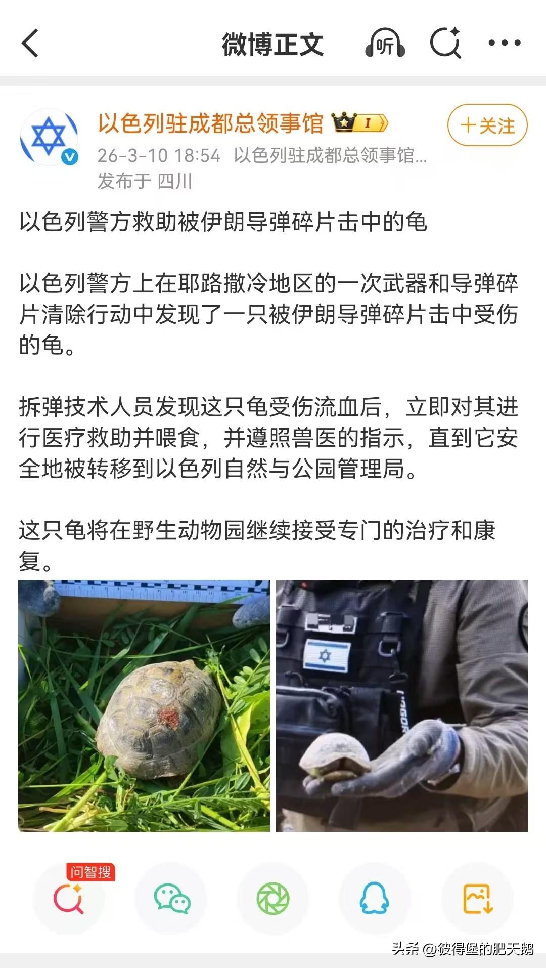 问：受伤的以色列匪兵能享受到跟这个乌龟一样的医疗待遇吗？

答：不能，因为菜市场