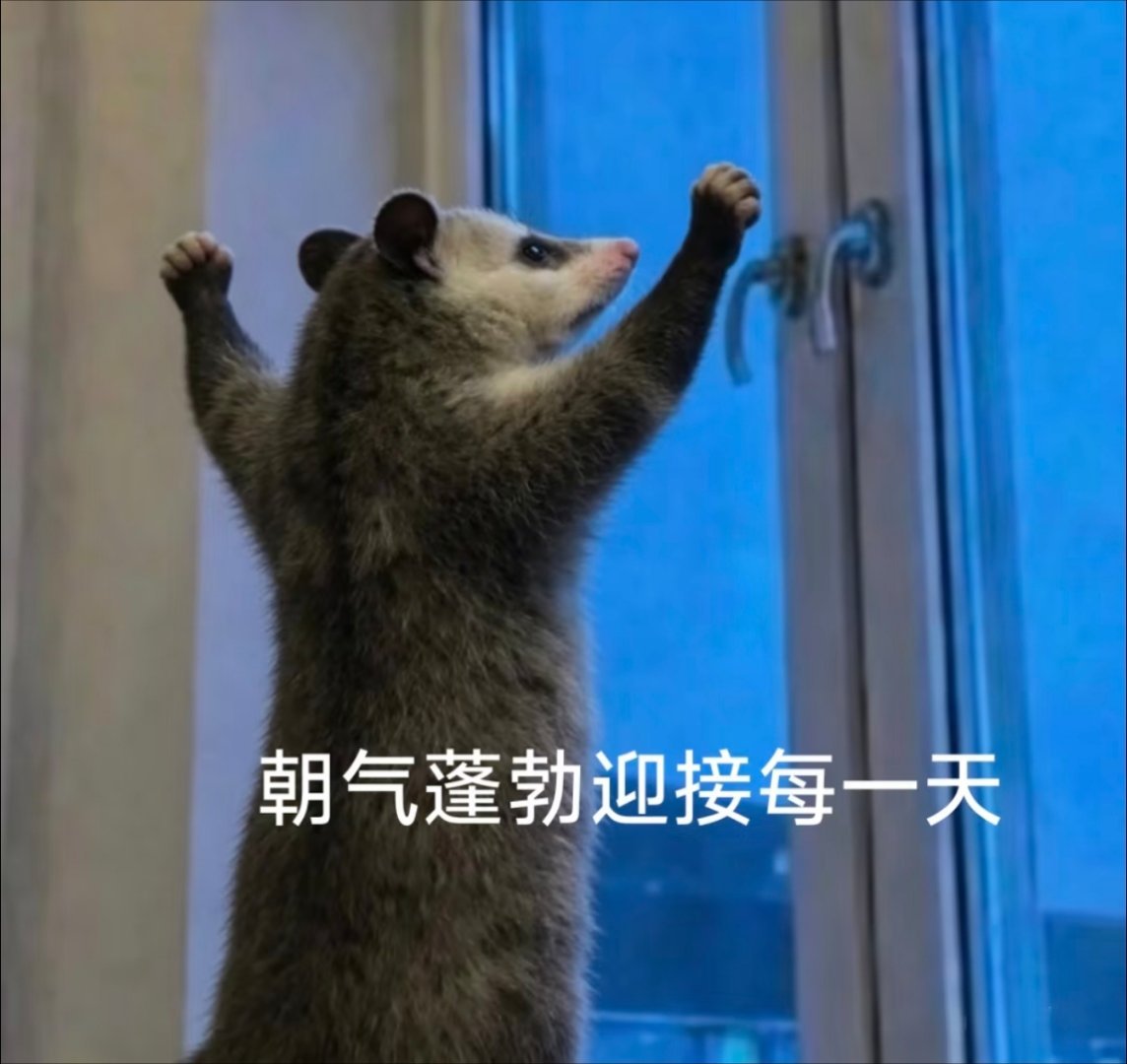 被掏四羞辱四次的我:加油，明天又是充满希望的一天 