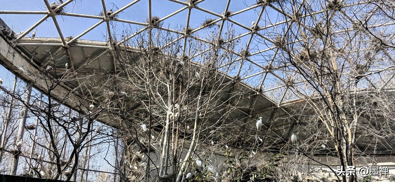 别急
该开的花
自会有它的花期

你此刻的焦虑
不过是时间给你的缓冲
让你慢慢长