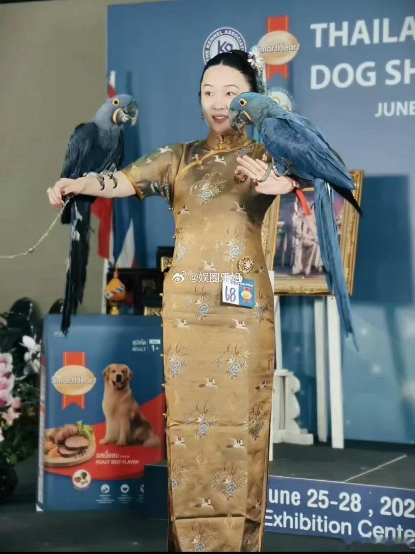霍思燕家的鸟又夺冠了真是干一行行！行行行啊！她是有多爱小动物啊！都养的这么好👍