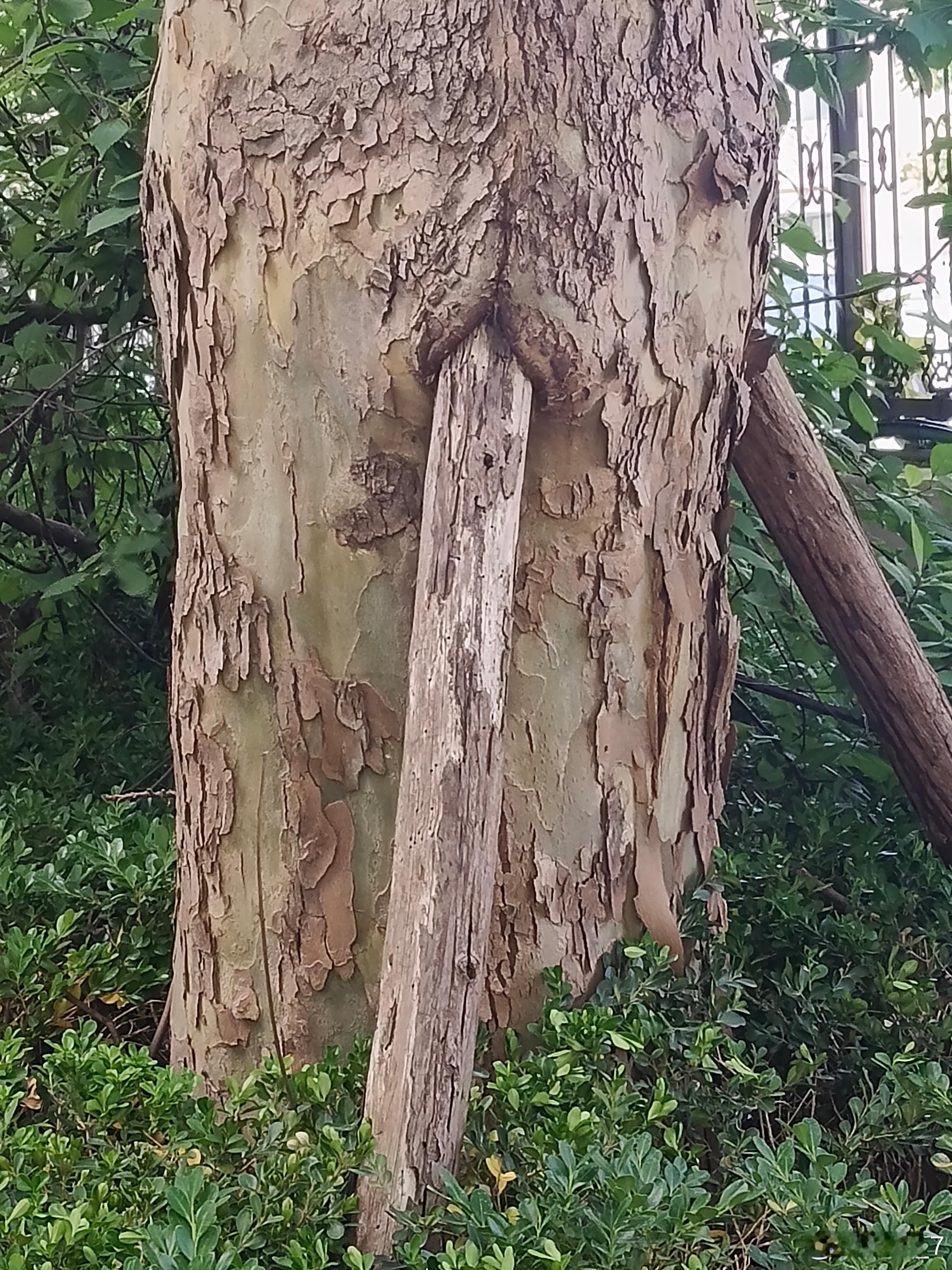 成长的力量 