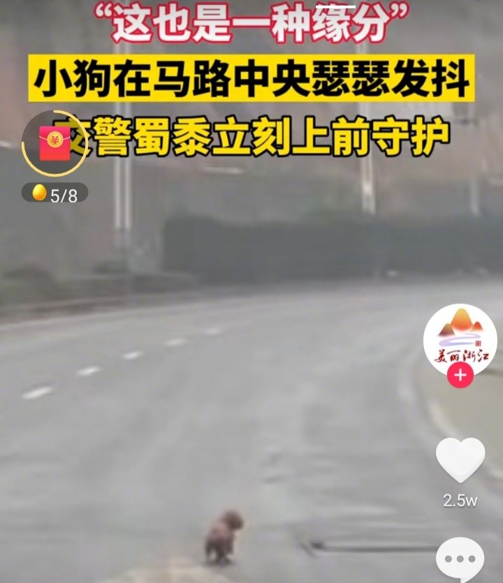 浙江交警在出警后发现路中央一只瑟瑟发抖的小狗，便下车将小狗带回了警署，边喂养边等