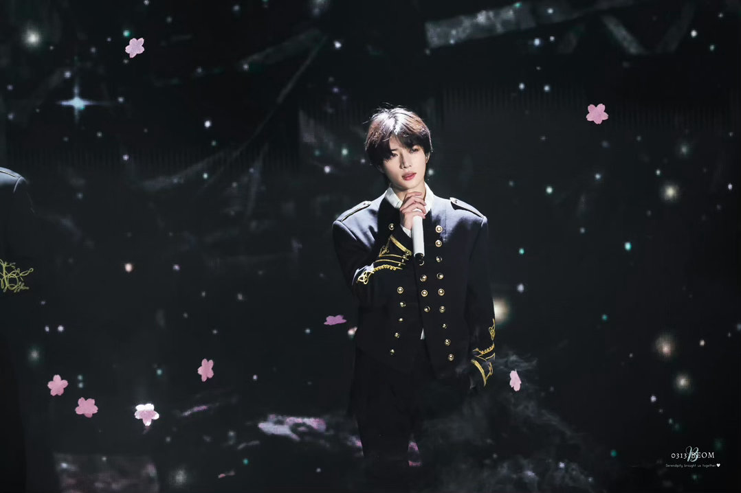 ﾟ+..｡☆ 左心房的蝴蝶標本 ☆｡..+ﾟ 