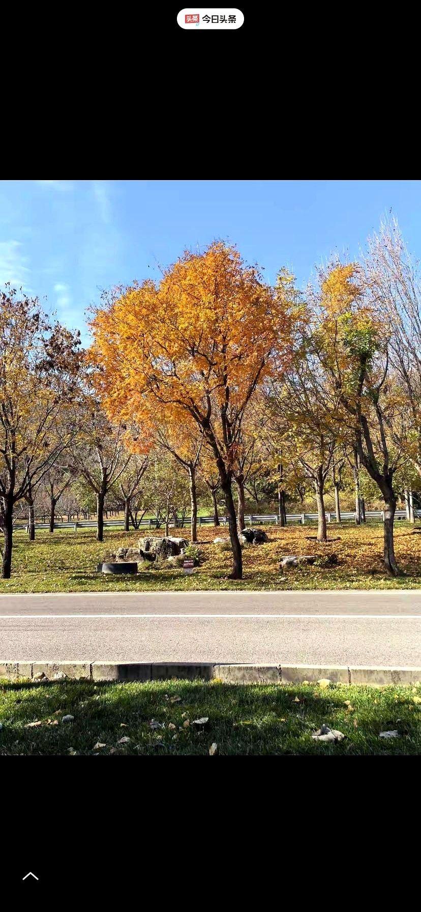 有时候我就在想啊，这世界上的事儿，是不是就跟村口大爷下棋一样。
所有人都围着，就