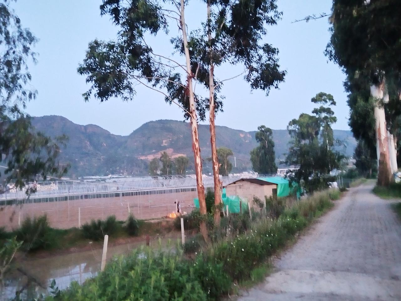 到处都是大棚