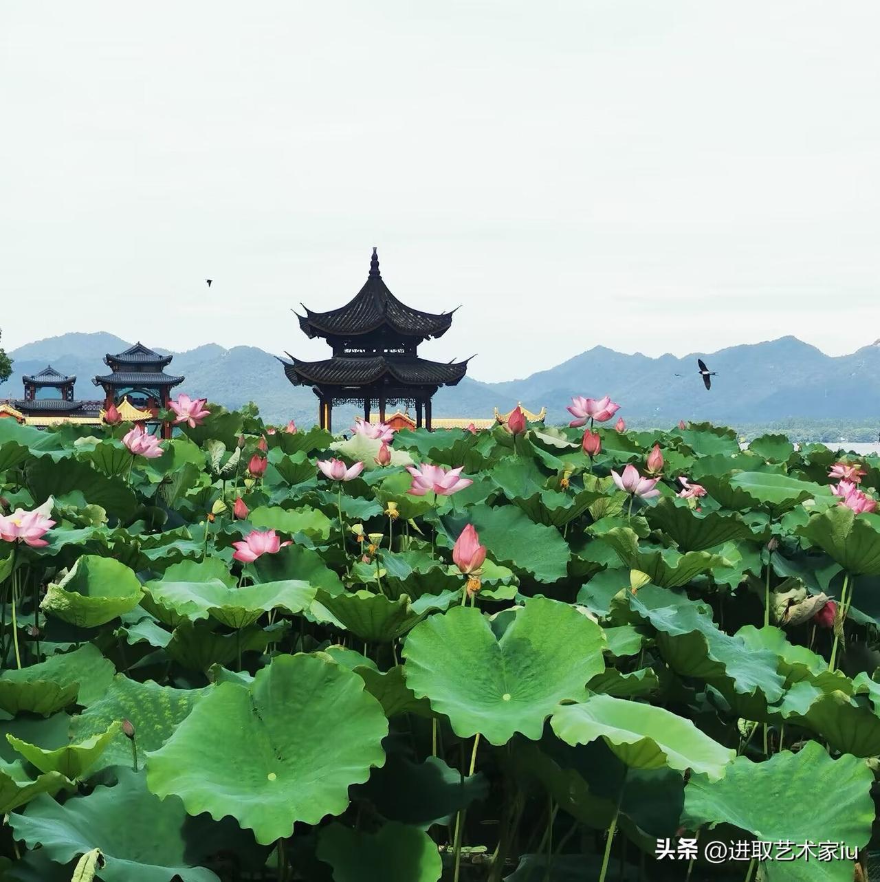 杭州西湖湖滨公园，“湖滨晴雨‌〞为三评西湖十景之一，品鉴西湖阴晴雨雾的最佳地点，