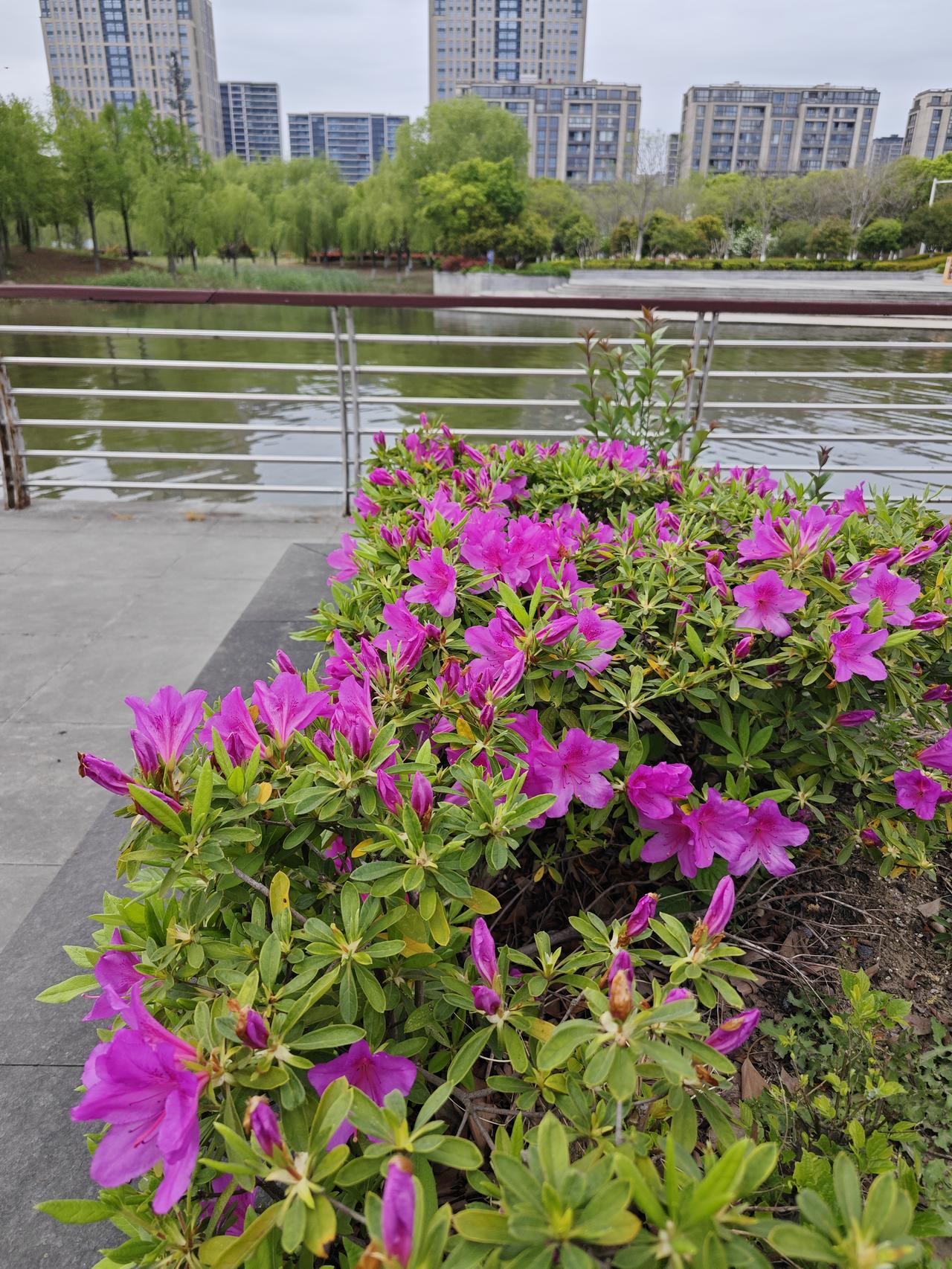 过了五十这道坎，身体这台老机器经不起你瞎鼓捣了！养生其实就是：越简单，骨头才越硬