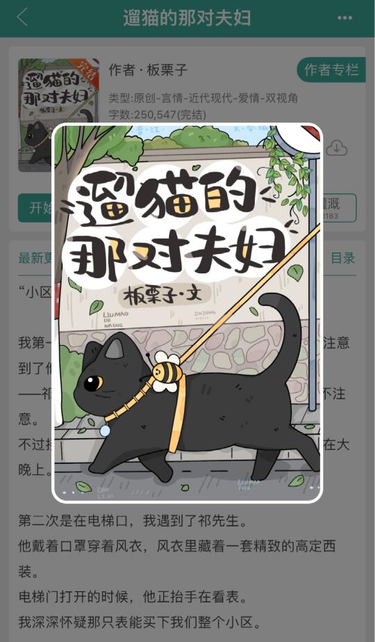 遛猫的那对夫妇