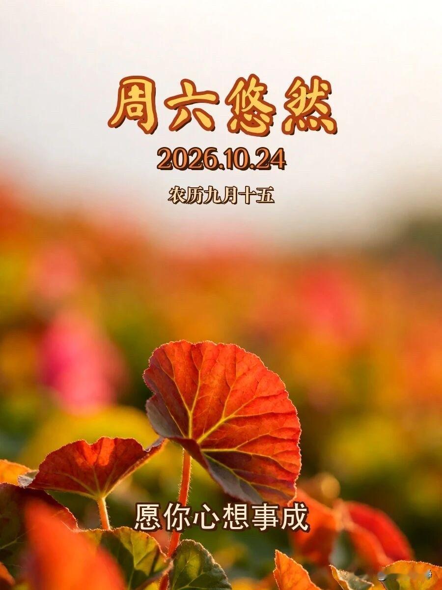 🍂²⁰²⁶/₁₀/₂₄ ᵕ̈ 周六早安｜万事顺意☕️🍒🍑🐎

秋光漫过窗