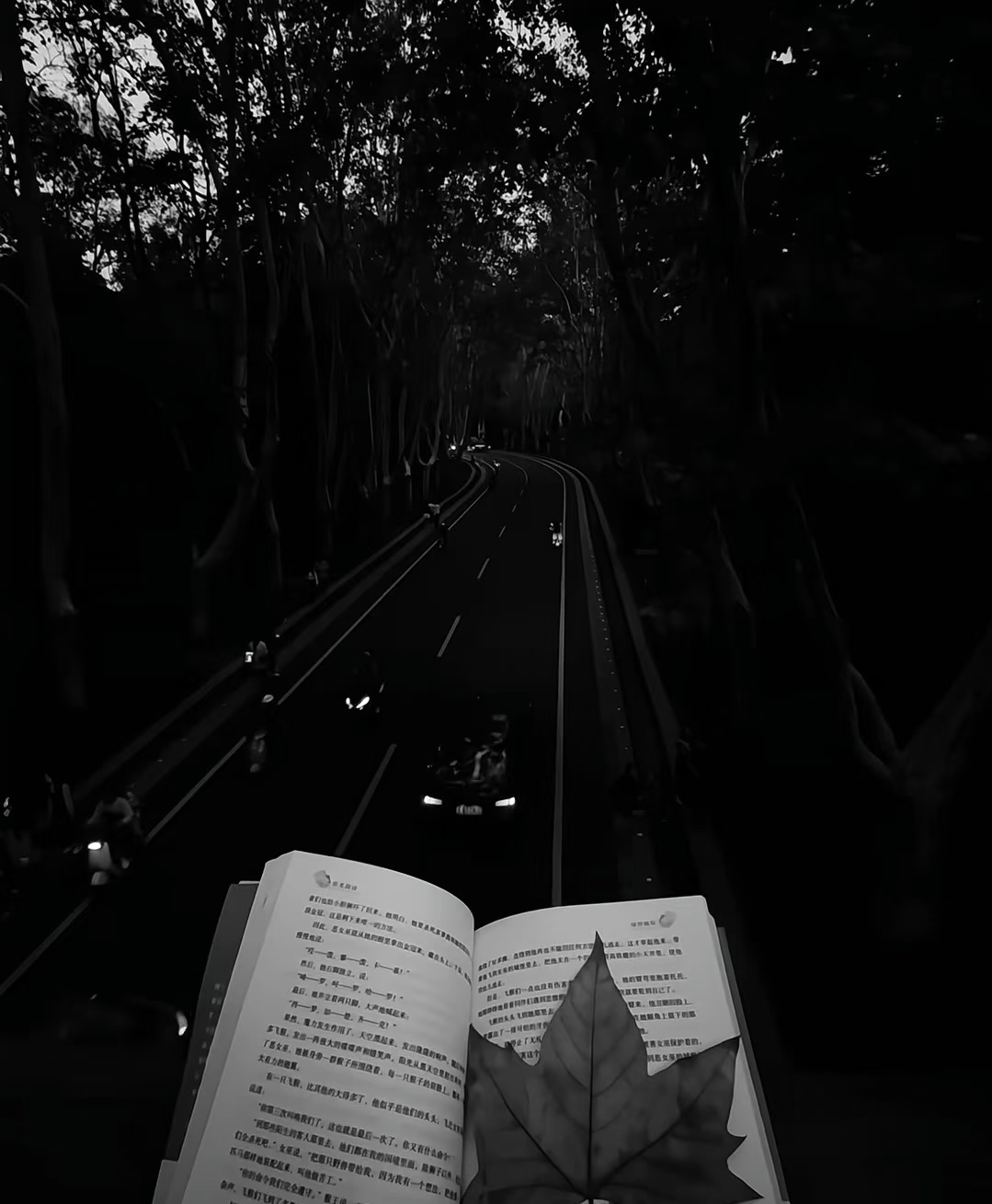 ☀️阳光信用 ☀️每日一善 善良是春日里的和煦微风，善良是炎热夏日的清凉饮品，善