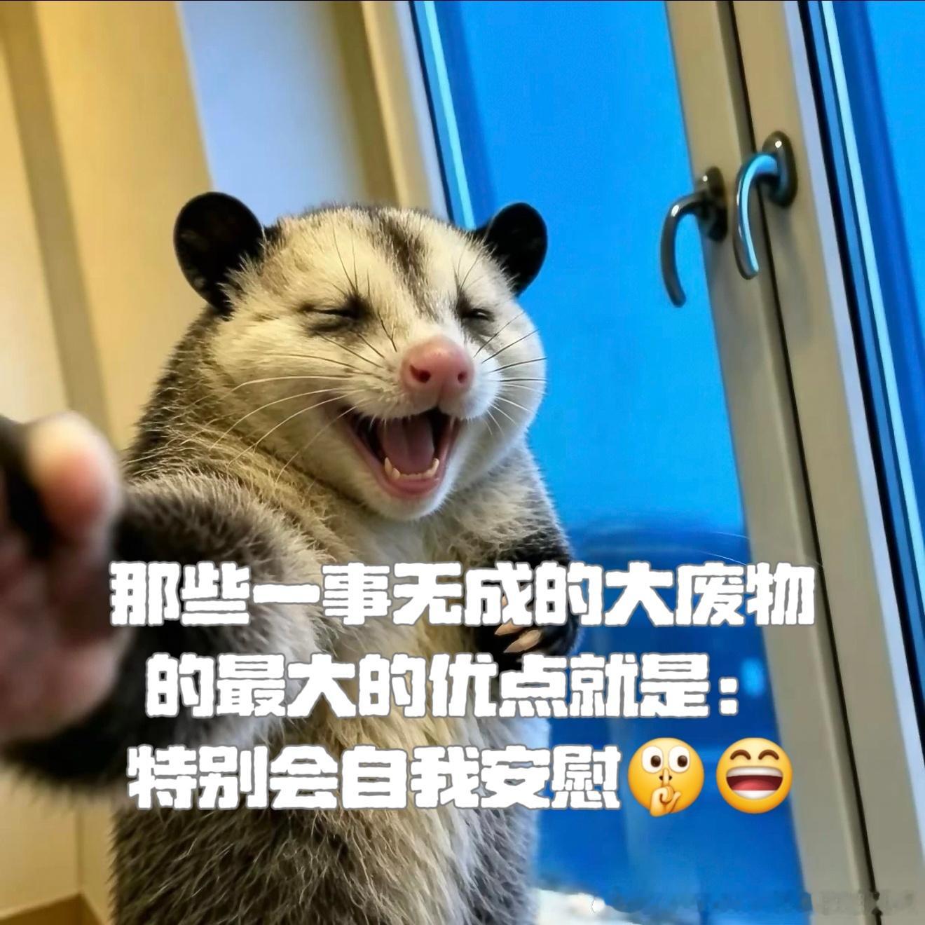 多观察你就会发现，那些混到中年都一事无成的人，都有一个共同特点：就是特别会自我安