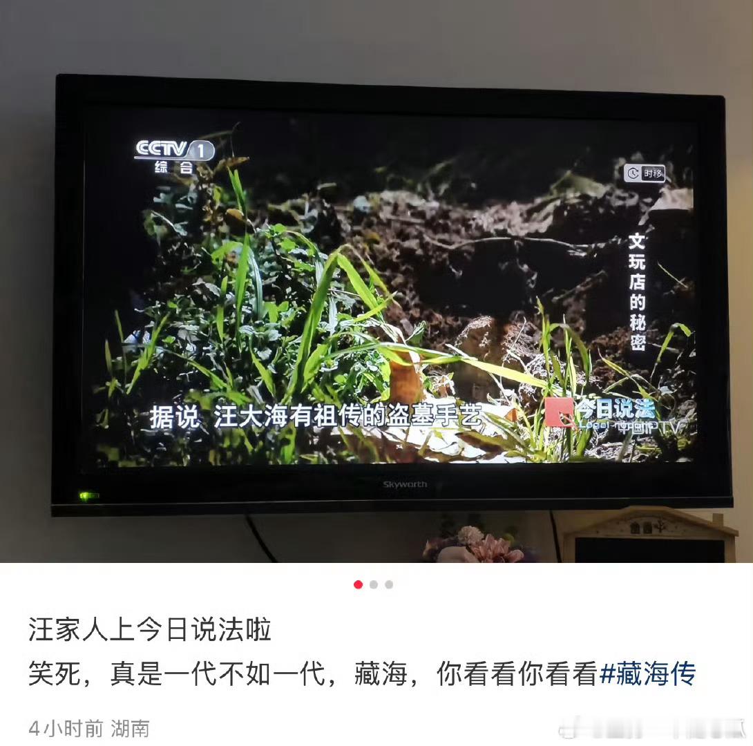 汪大海哈哈哈，小编藏海传看了嘛[嘻嘻] ​​​