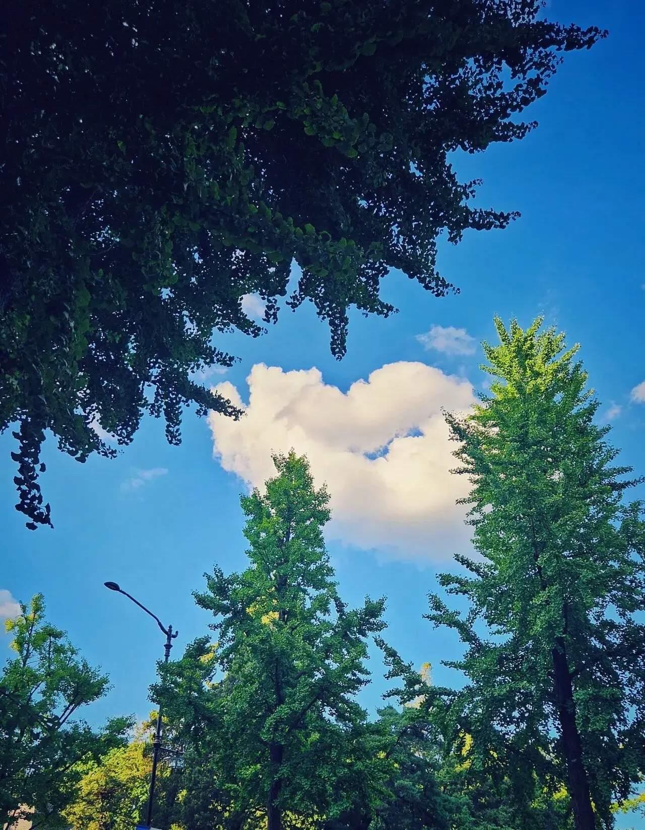 [微风]春日未换的土，今日一并补上。在小院里一干就是停不下来，老爸搬过来有段时间