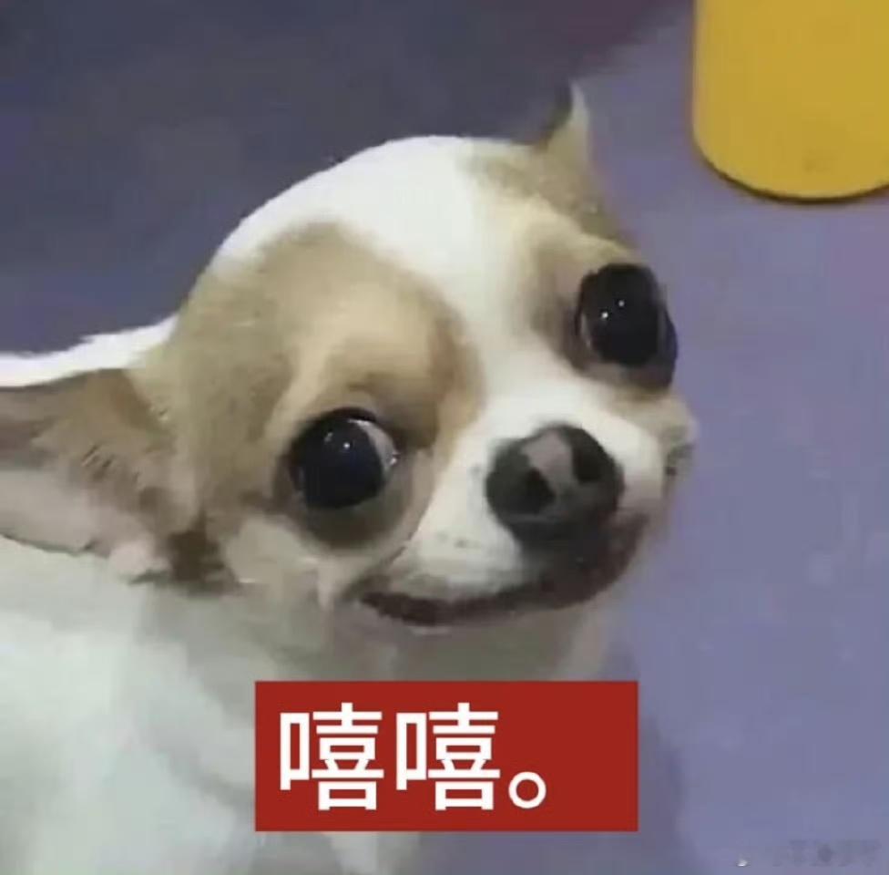 其实我记得长月那会儿螺狮粉因为嫌弃白鹿，所以一开始还想拉嘟嘟炒西皮来着，印象里是