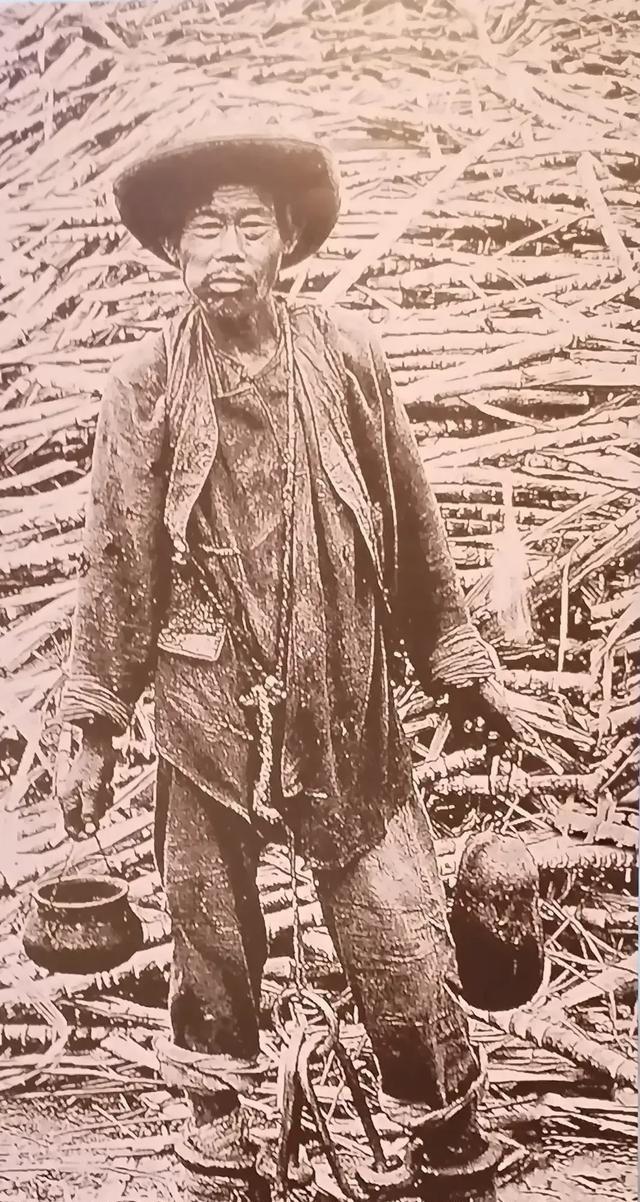 19世纪前往拉美的华工，很多人当苦力受虐而死。像秘鲁种植园只有三分之一的华工可以