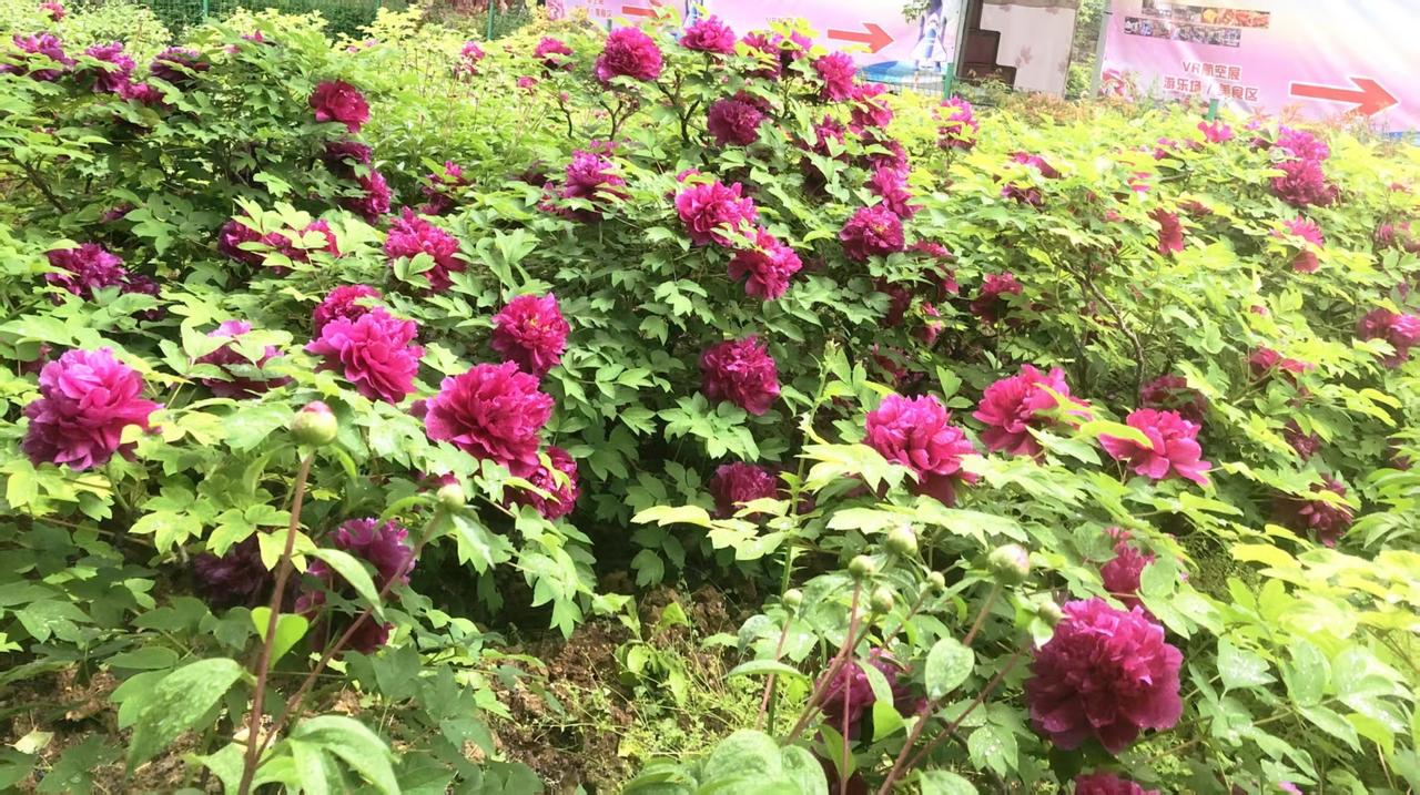 【08.02修身心语】
您好！
从情绪里撤退的速度，决定了你人生的高度。
沉溺情