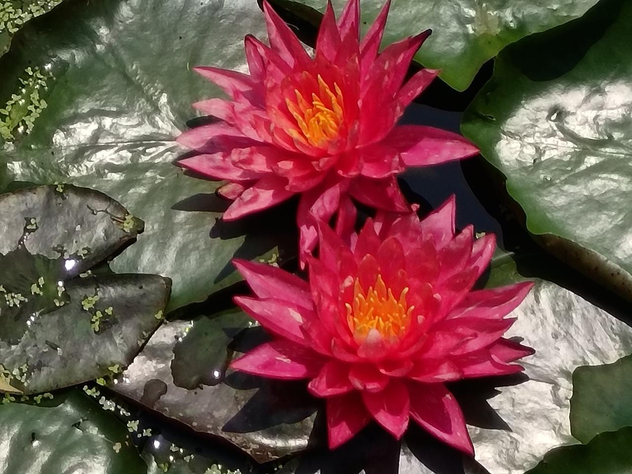 这件事一经曝光，立刻引发了网友们的热议和点赞。为什么一件看似普通的高铁小事，能够