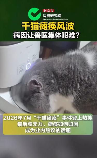 千猫瘫痪多地医院真相调查记者调查千猫瘫痪背后真相带瘫痪猫咪去医院复诊，专门和医生