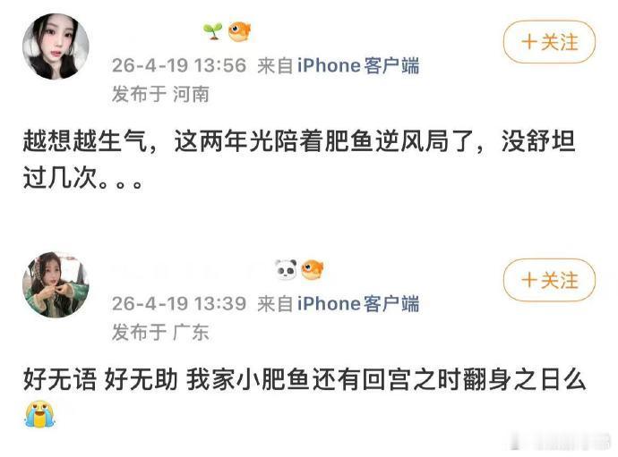 虞书欣父亲索赔17w败诉有话说🎤 