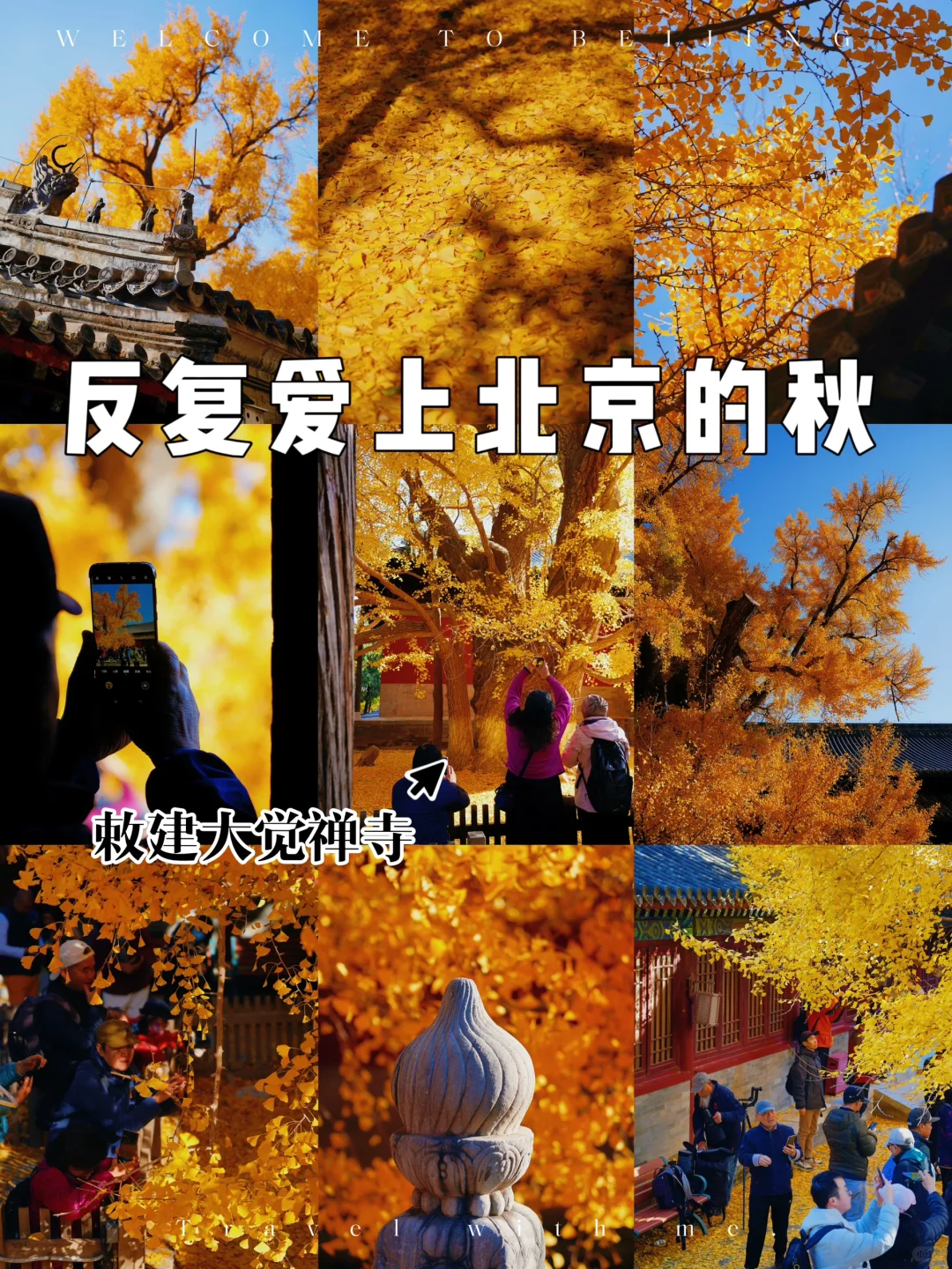 反复爱上北京的秋｜来大觉寺感受限定秋色