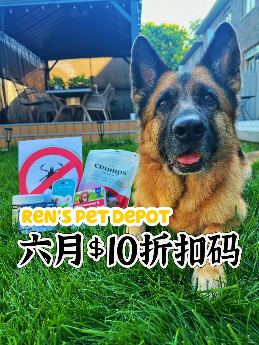 来咯来咯！Ren’s Pets六月$10🔪折扣🐎