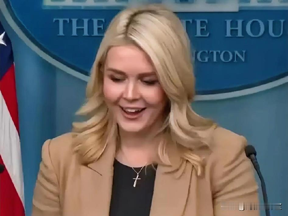 欧洲国家展现团结，向格陵兰派出了多国部队，荷兰1人，英国1人，芬兰2人，瑞典3人