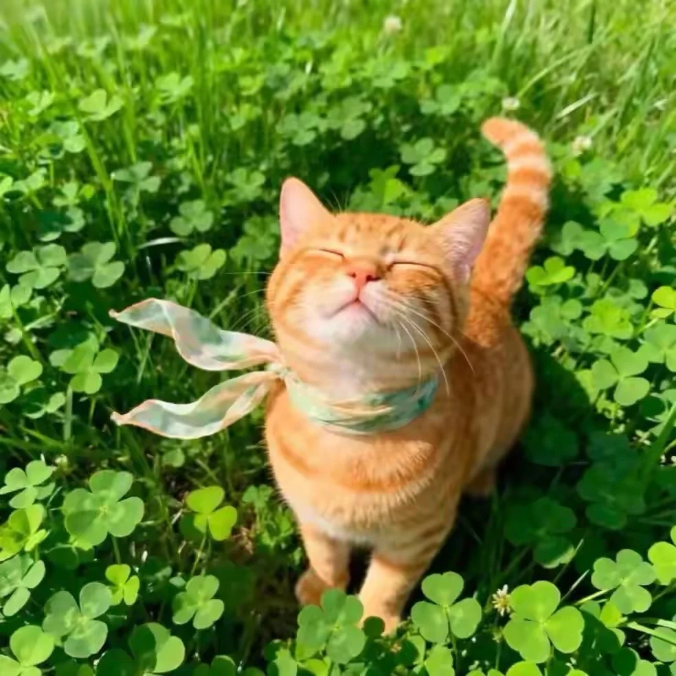 从家长来信看，高中，有一些学生进入一种越是着急想追赶，越焦虑，越学不进去的循环。