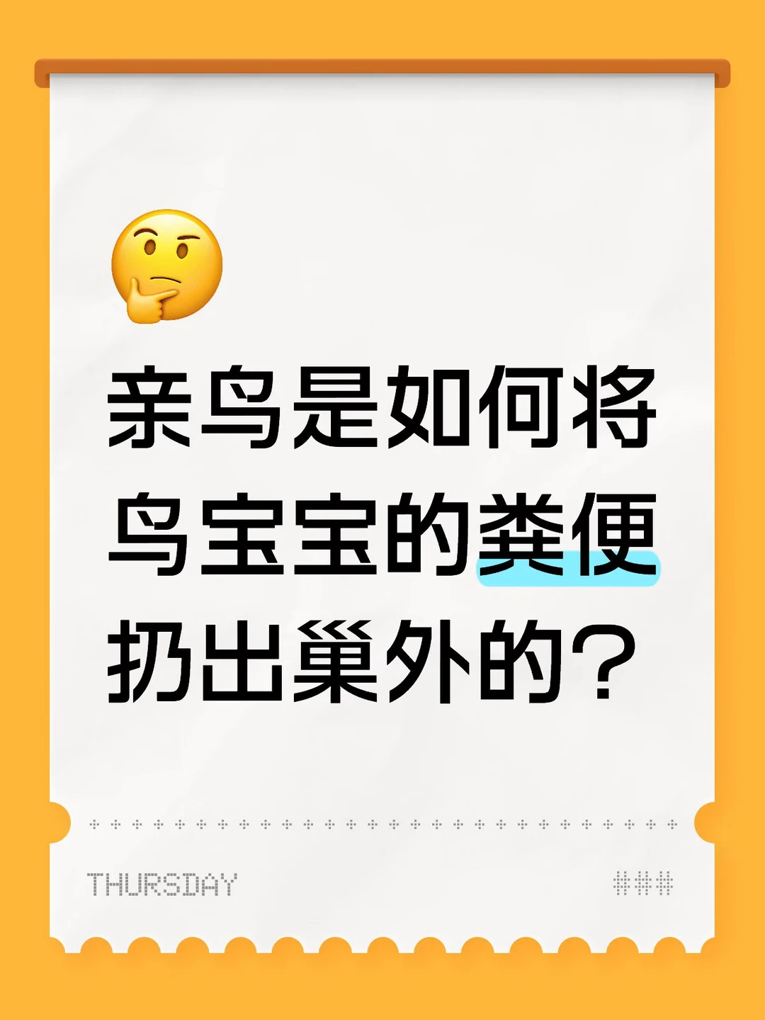 什么？鸟巢里的粪便居然是这样叼出来的！
