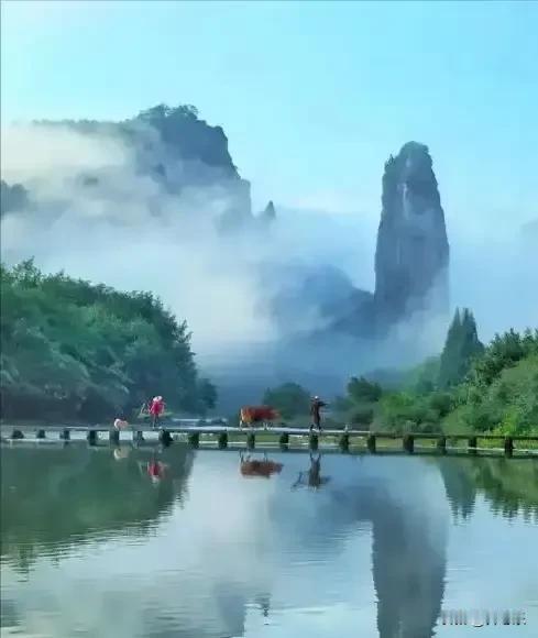 九峰藏云霞，千年缙云行

缙云山屹立于重庆西北，燕山运动造就的九座山峰横亘连绵，