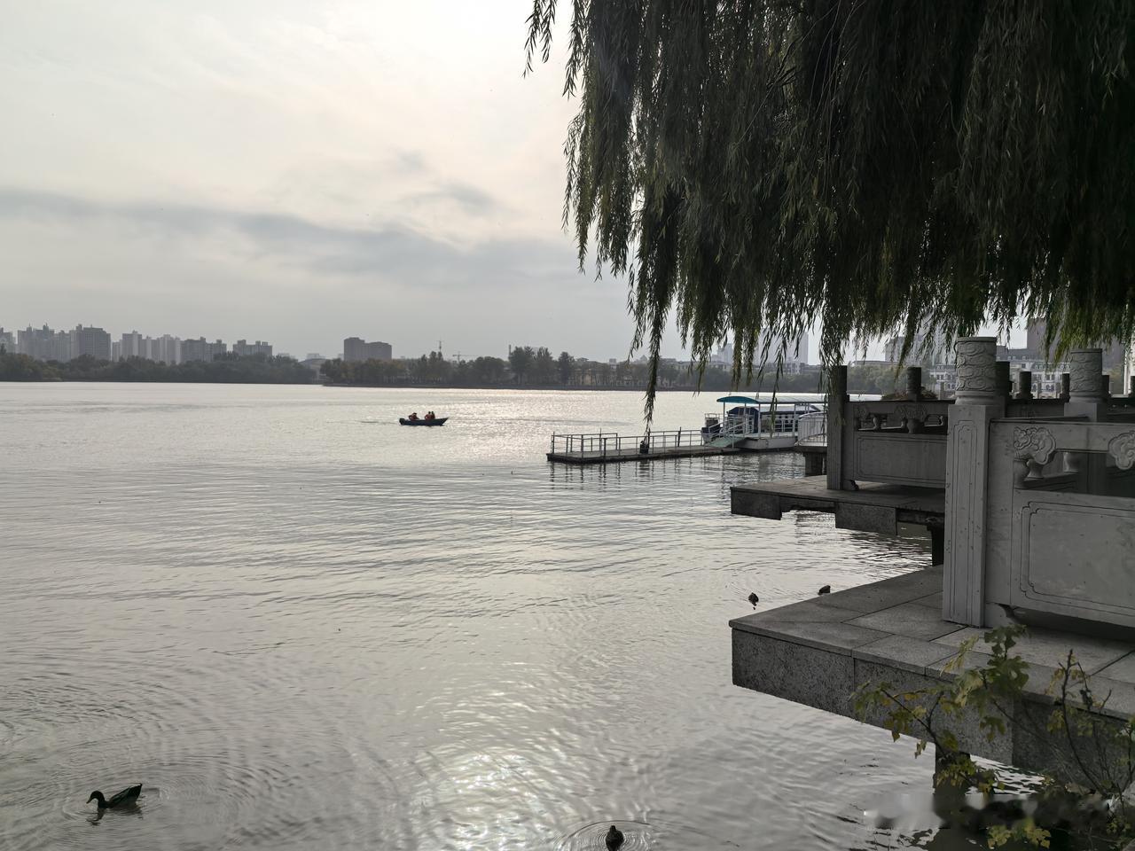 图1～图7：天津水上公园随手拍。
图8至～12天津睦南公园随手拍。
天津水上公园