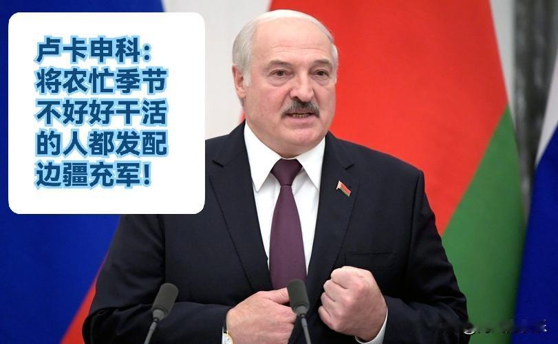 卢卡申科：将农忙季节不好好干活的人都发配边疆充军！

    据外媒白俄罗斯通讯