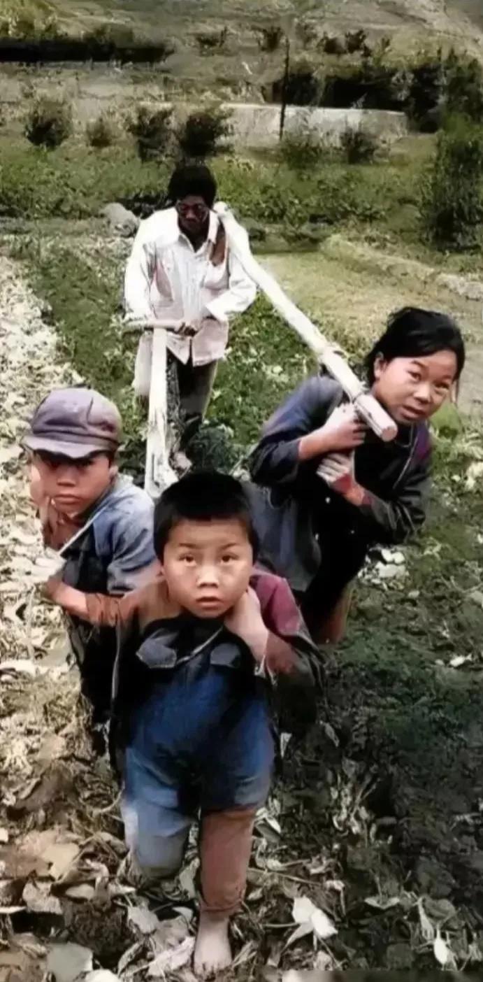 如果当年不分田单工，农村早就实现机械化了，甚至是现代化了。也没有人拉犁拉耙，孩子