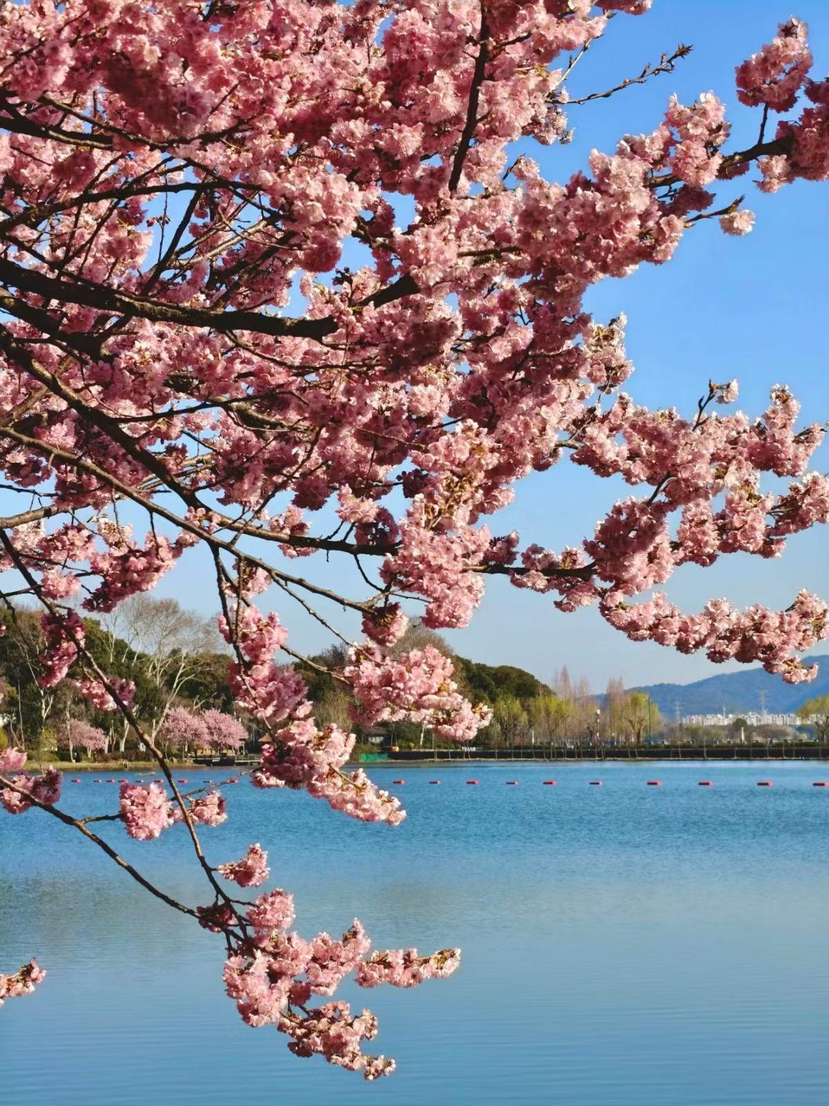 分享一件幸福感小事每天进入头条分享自己的所见所闻，还有阅读量的惊喜，当然还有头条