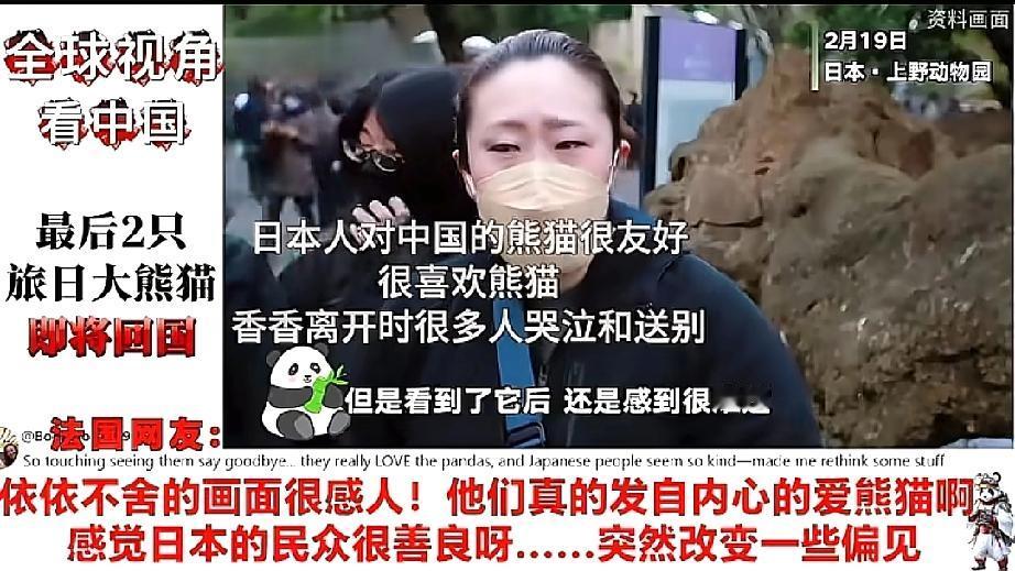 熊猫外交又有新动静！
日本国内最后两只大熊猫晓晓和蕾蕾马上要回国了，这事儿背后其