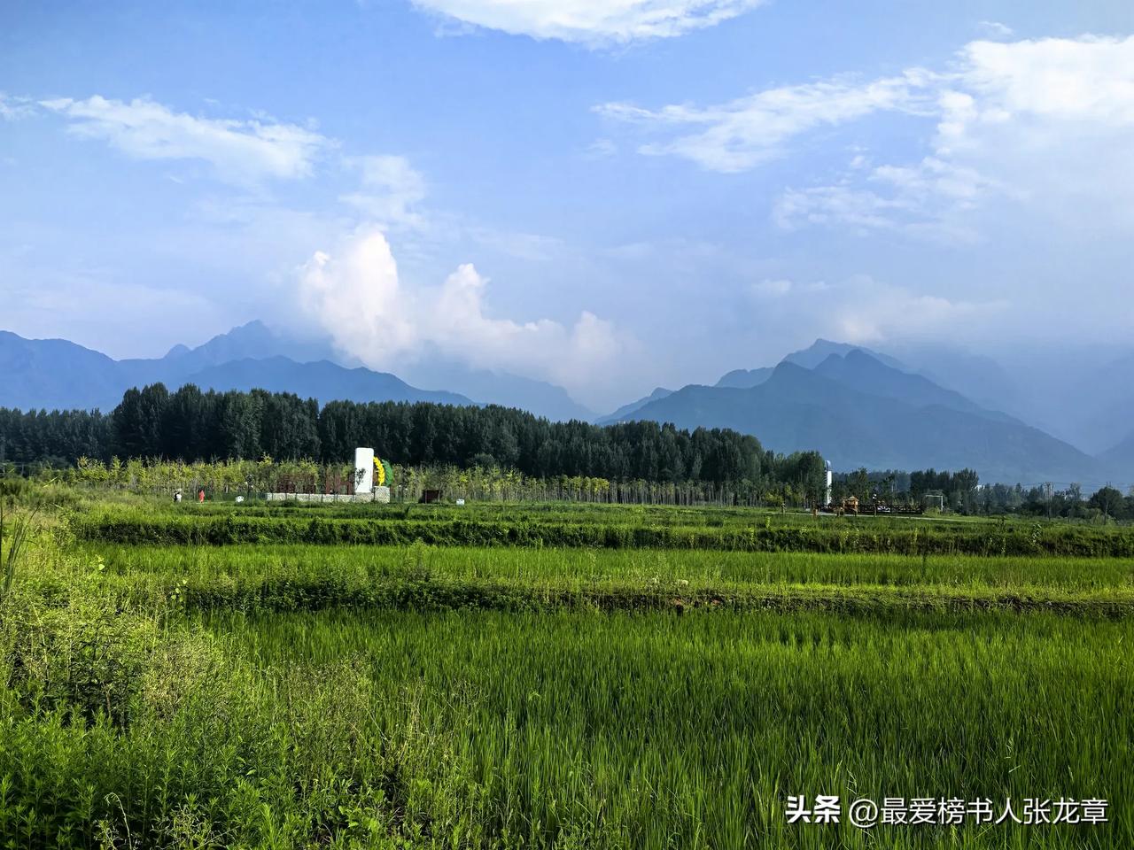 《醉眠》
一一唐庚（宋）
山静似太古，日长如小年。

馀花犹可醉，好鸟不妨眠。