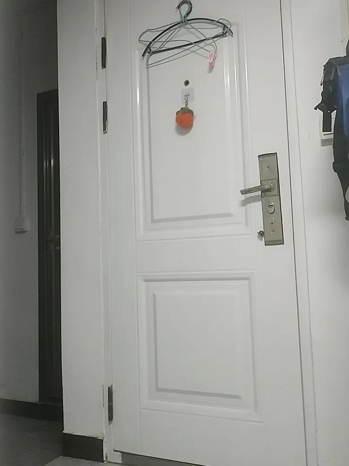 这种门好不好看呀，我觉得还行，就是不知道安不安全