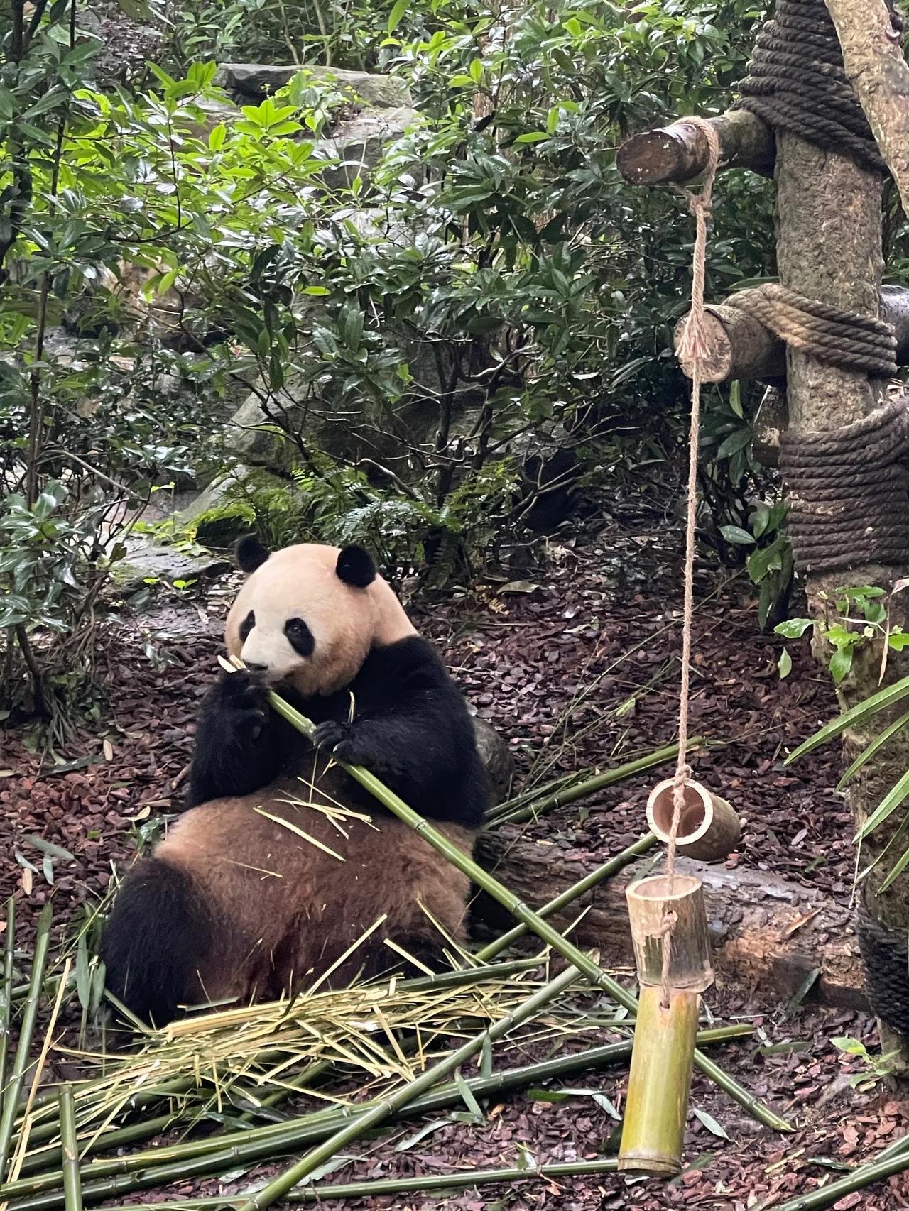 有工作，退休无早晚。
有国才有家，多少无所谓。