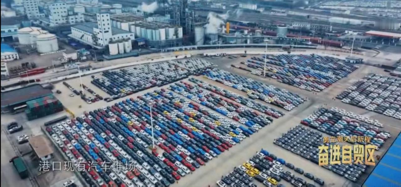 自贸试验区的港口汽车堆场里，数万辆汽车整齐列阵，巨型滚装船停靠码头，国产车正依次