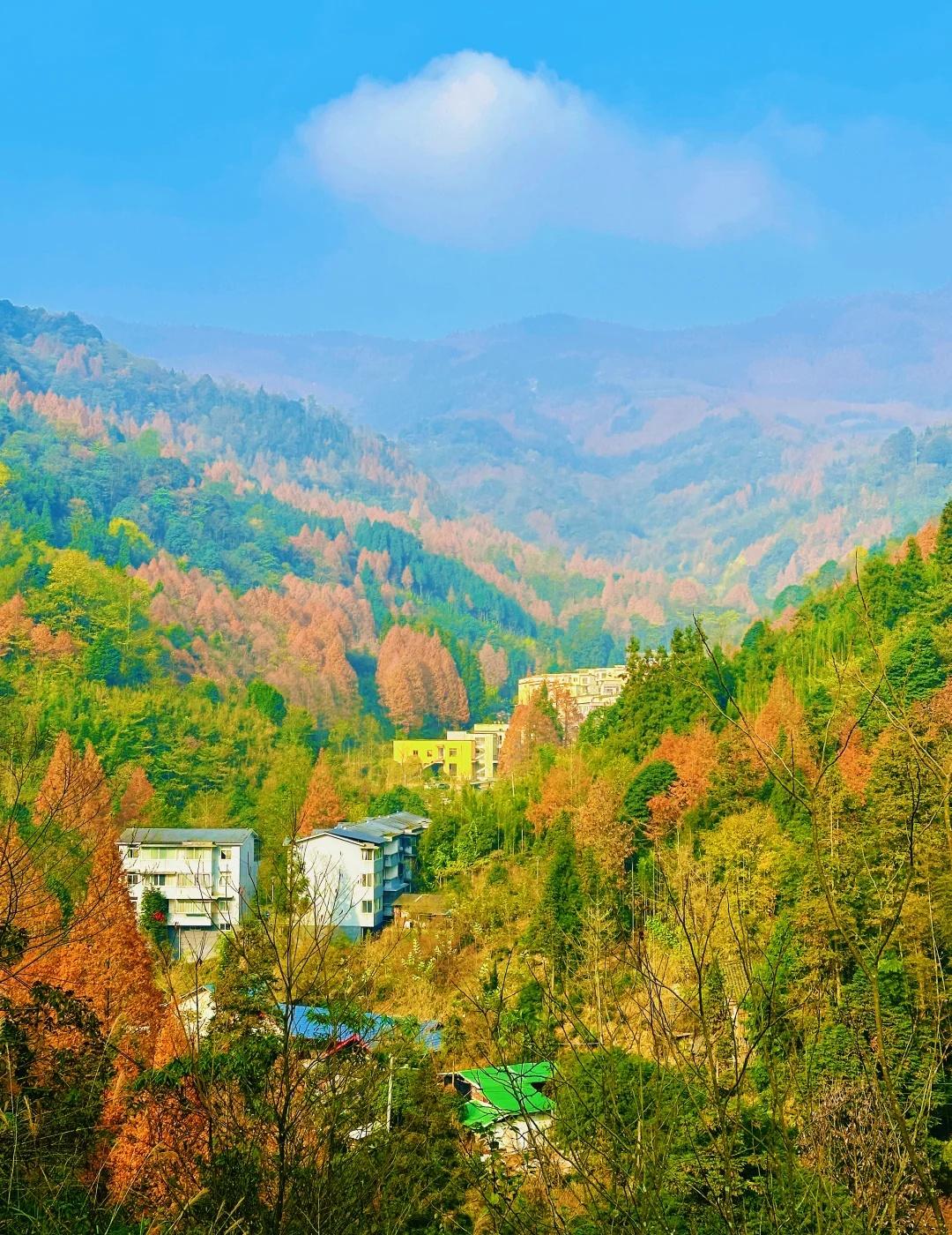 成都1.5h | 闯入金凤山的秋日油画里
金凤山位于崇州市三郎镇境内，距离成都市