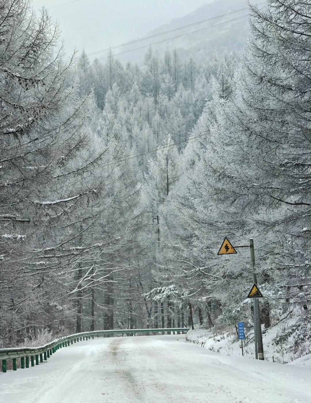 元旦假期的暴雪太洋公路，太白县到黄柏塬
秦岭深处，暴雪，不清雪也不封路。
经常在