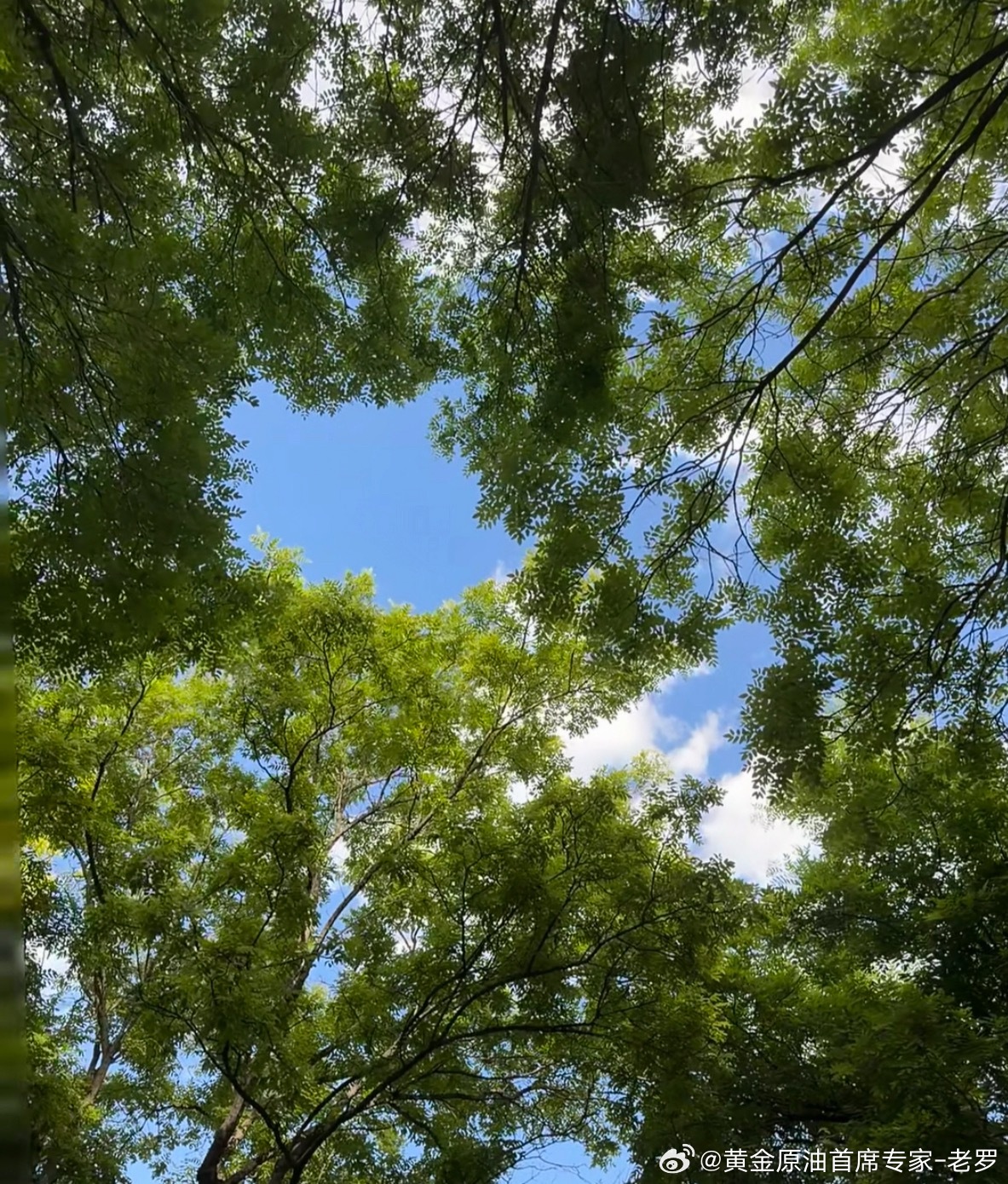 不下雨的天气还是很好的，再到傍晚有风就很适合悠闲慢跑黄金