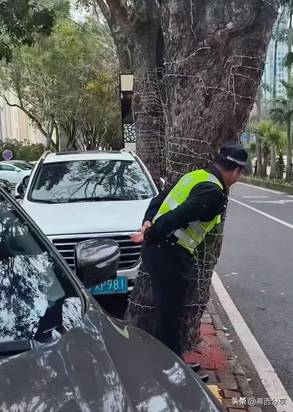 请看图说话， 
就不用我解释了吧。
做牛马也不容易呀。
电动车 电动车必知交规 
