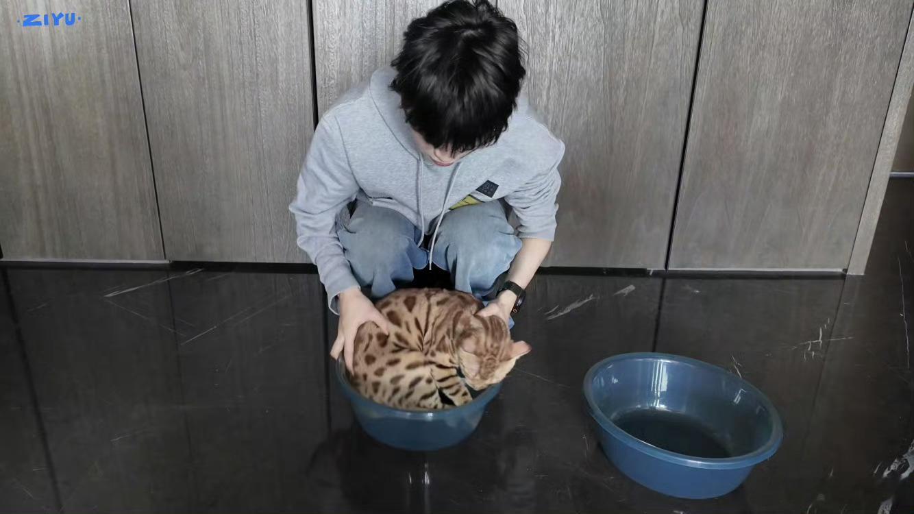 为什么要这样对待小猫？真的喜欢猫的人不可能有这个行为的。 