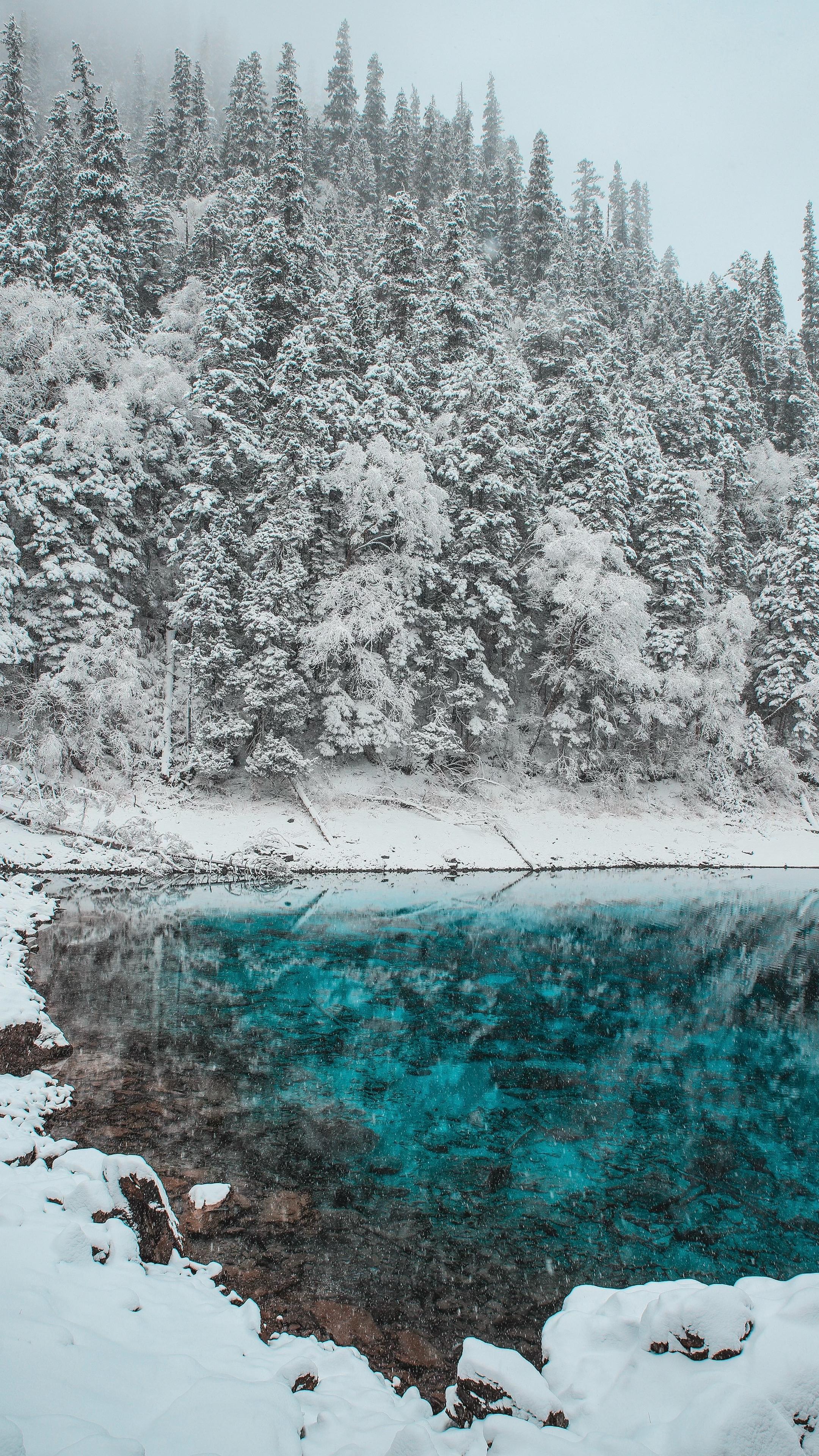 ❄️雪景风光📸出片秘籍 👉 3大黄金场景构图法 - 雪林秘境🌲...