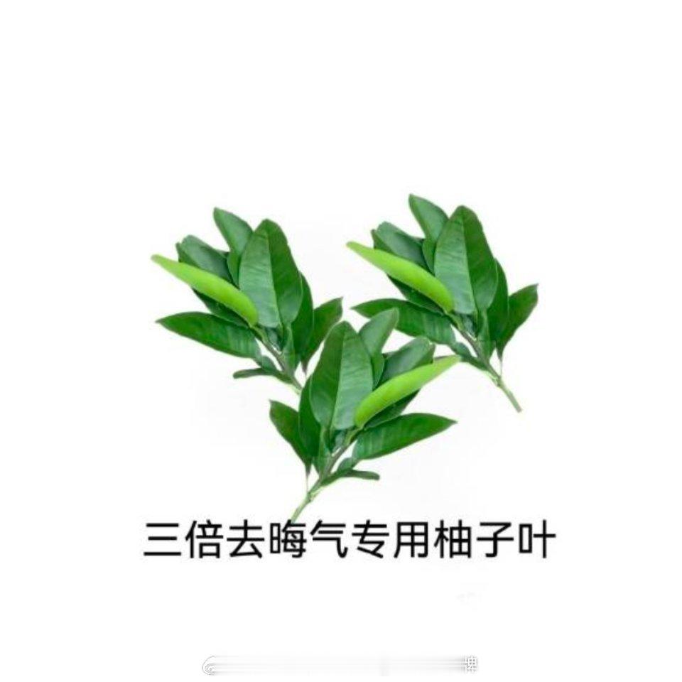 科目一一把过