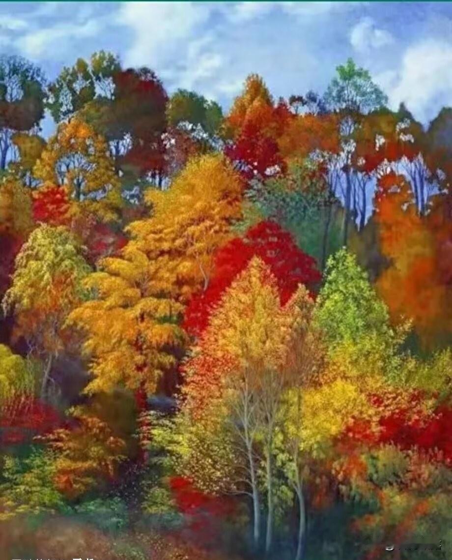 行走在秋天的风景里，感受着独属于它的诗意和浪漫，看岁月静好如常， 品身边深情过往