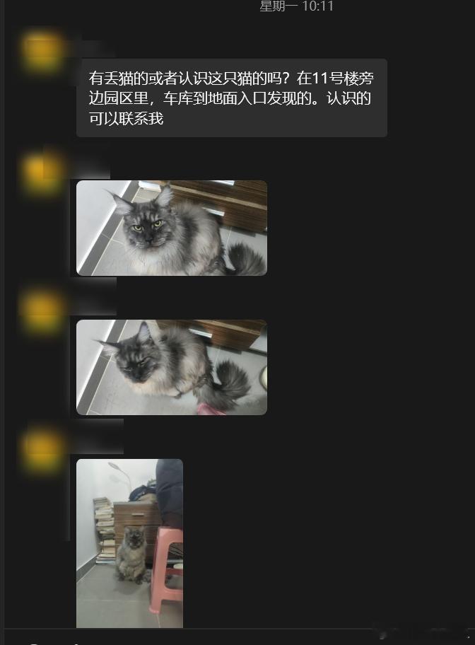 也是服了 我们小区基本上天天丢猫 这种宠物猫 到了野外真的是生死难料了  不过图