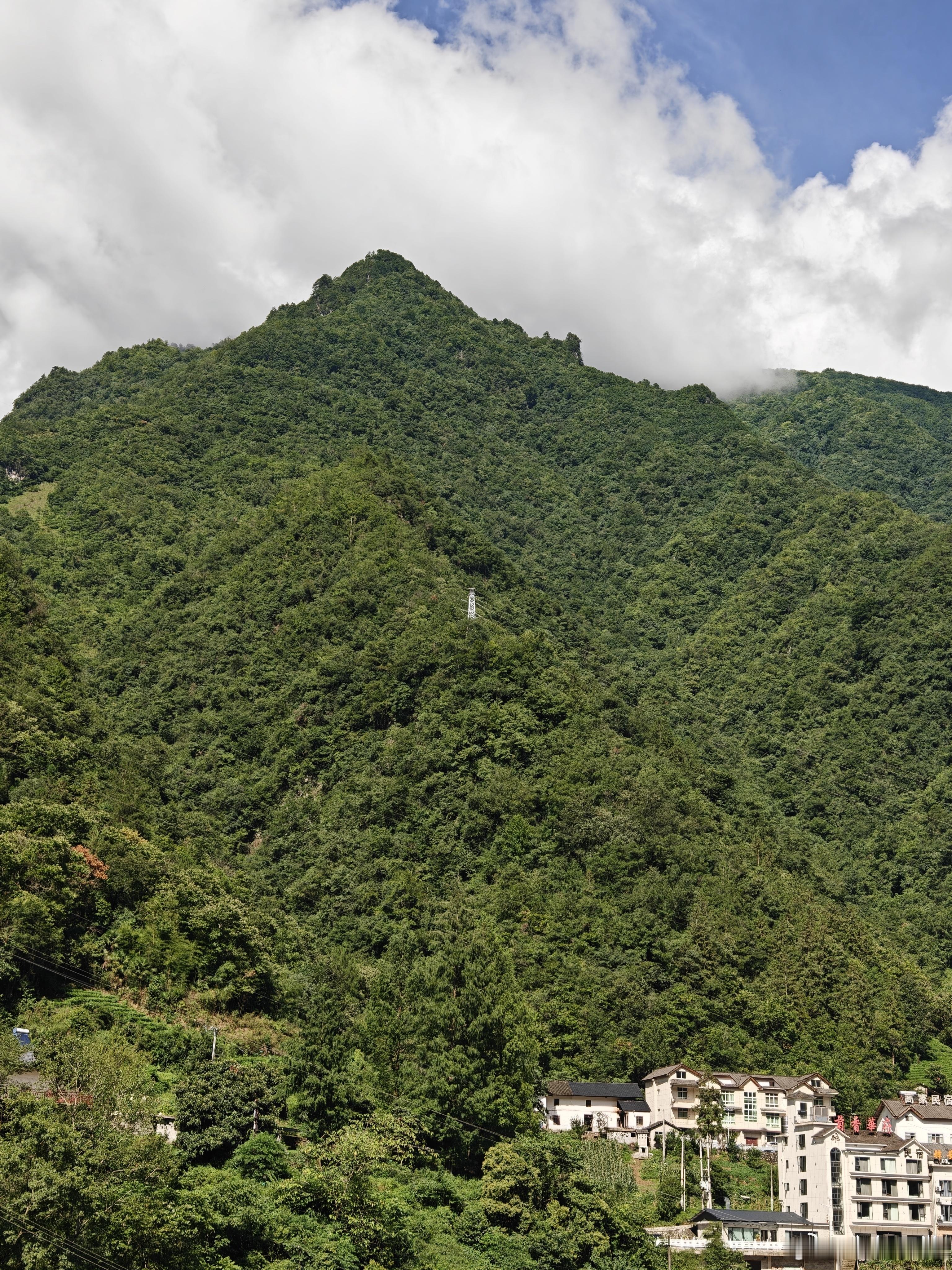 回来睡了一觉，天晴了，山上的云雾都散了，这会神农顶景色肯定很好好气哦 