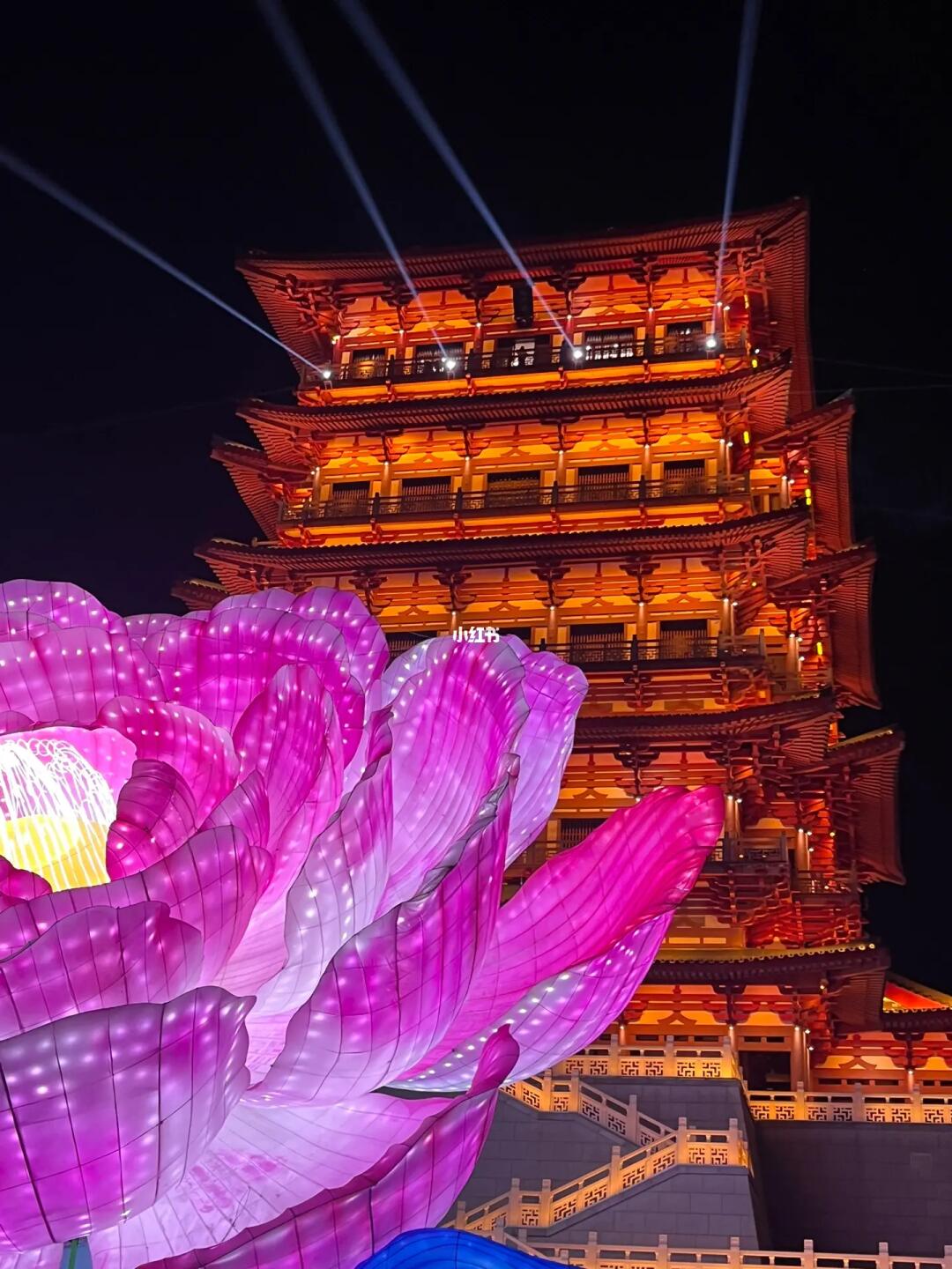 对不起‼️尔滨～我站洛阳‼️她叫我公主诶‼️