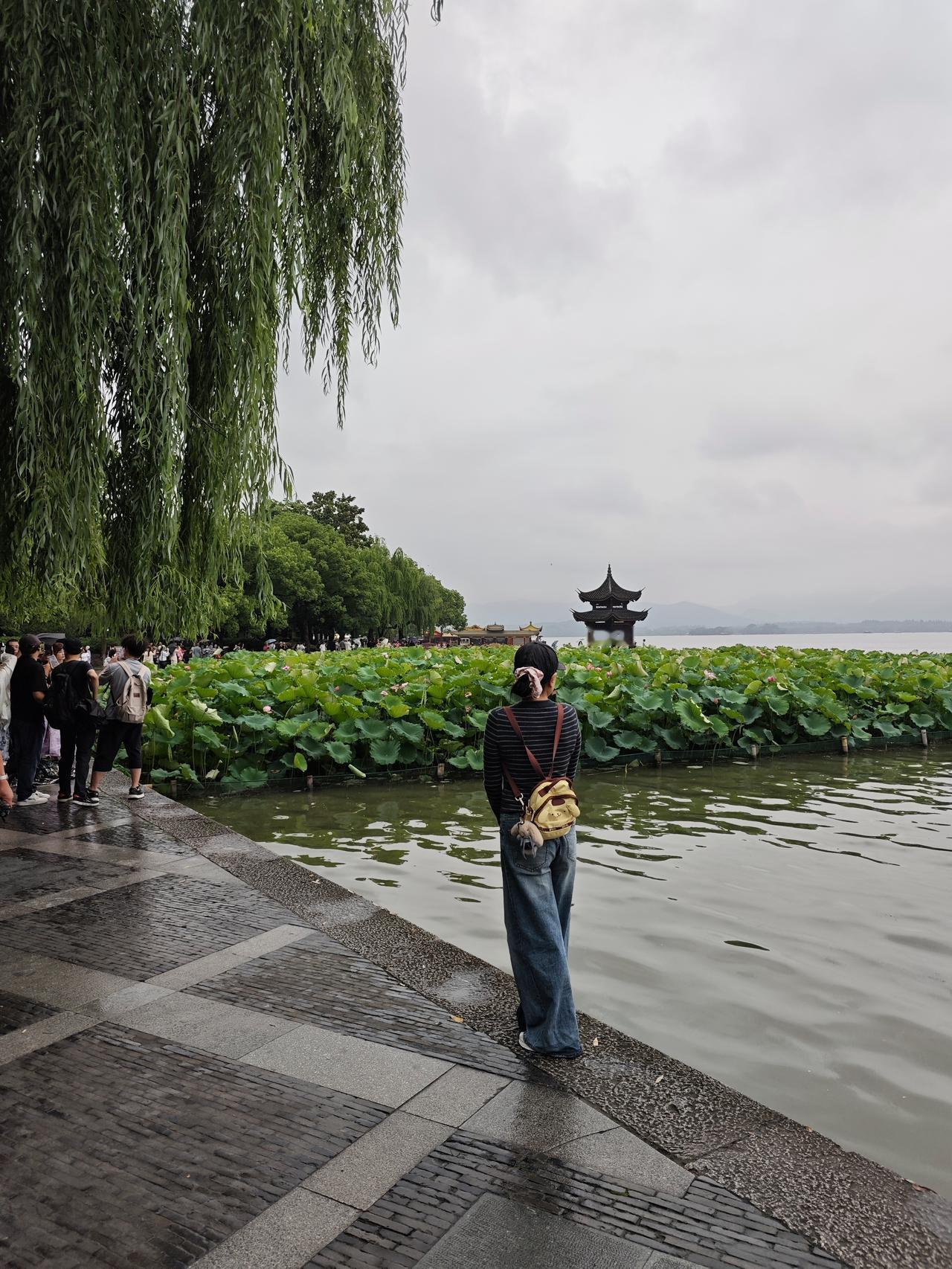 西湖太美了，西湖附近的湖滨公园更是美的让人陶醉。在湖滨公园你可以欣赏到别处没有的